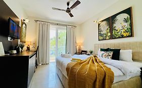 Bluo Amani Vagator - Boutique Hotel Goa